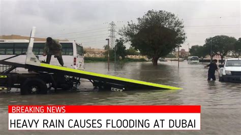 dubai floods fox news